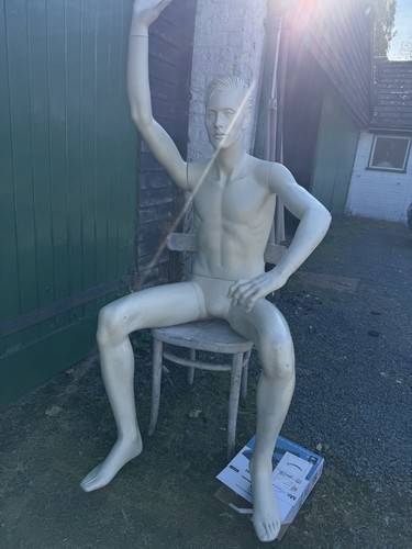 Adult male full body sitting - adult,