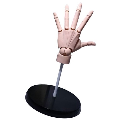 Flexible hand model - flexible, ornament