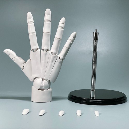 Flexible mannequin hand model - mannequin,