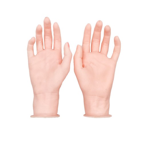 Hand mannequin model - hand,