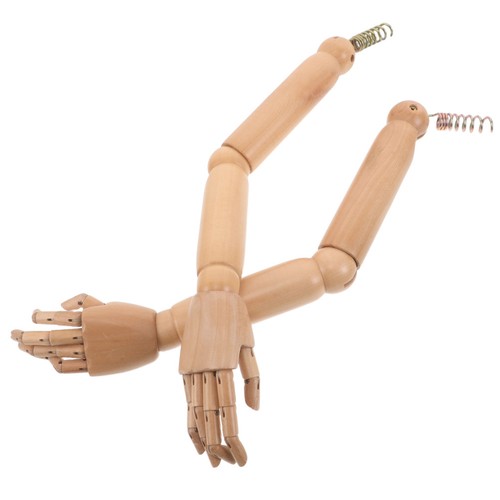 Prosthetic accessories - prosthetic,