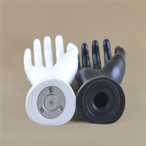 Male mannequin manikin - male,