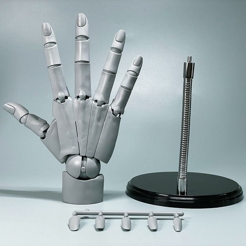 Flexible hand model ornament - flexible,