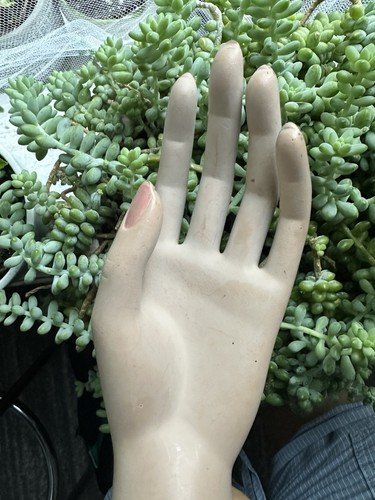 Female women mannequin hand - female,