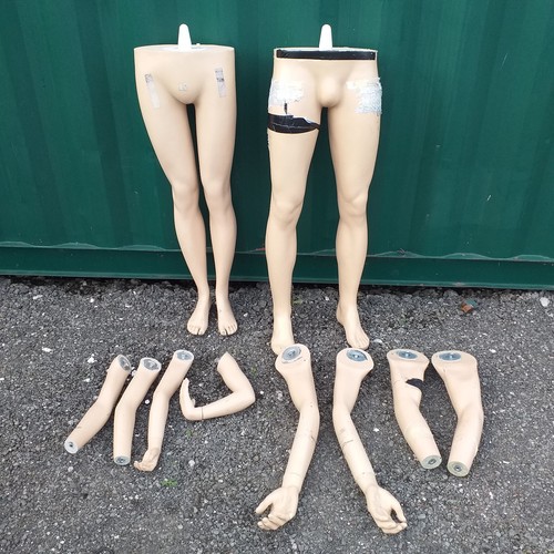 Mannequin legs arms hands - mannequin, 8